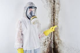 Best Emergency Mold Remediation  in Canal Winchester, OH